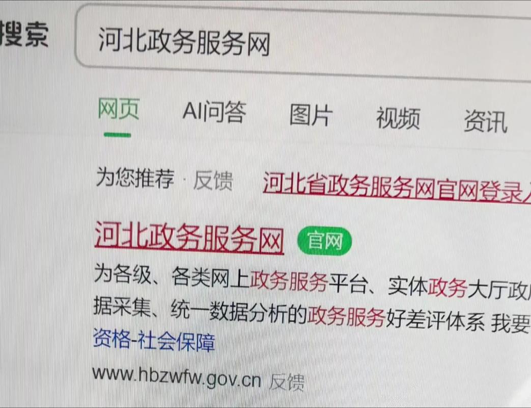 河北政务服务网游戏截图