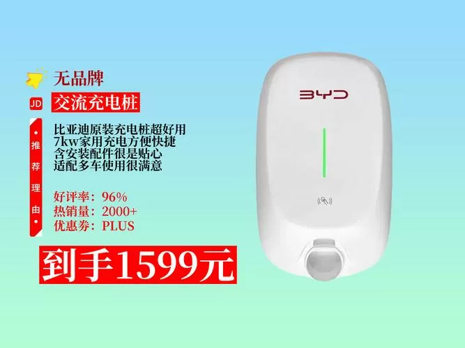 比亚迪充电桩通用吗游戏截图