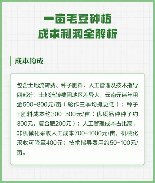 一亩毛豆的成本和利润缩略图